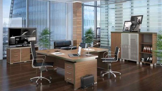 Кабинет руководителя Турин